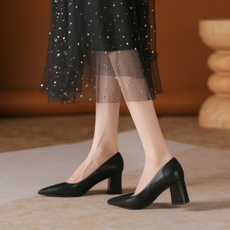 glossy thick heel pointed head - Women Fashion Model 리뷰 및 가격